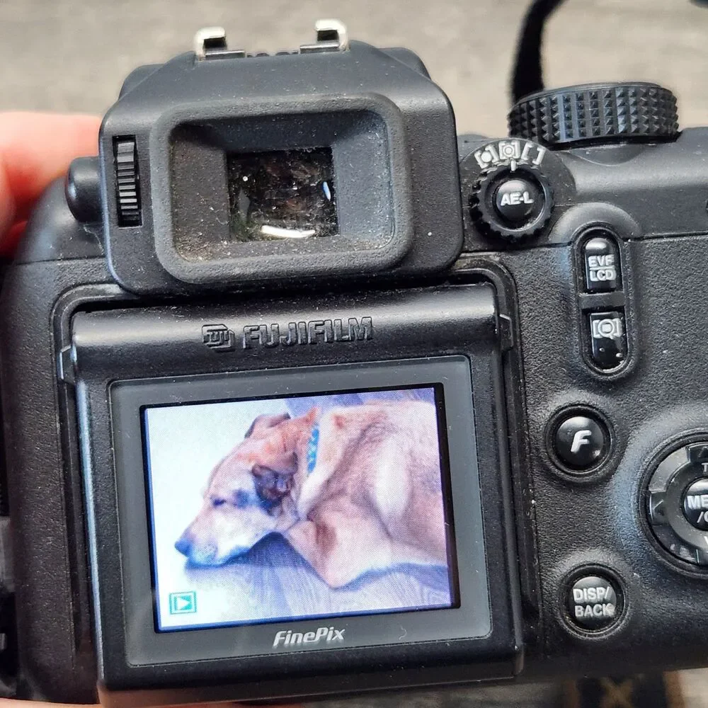 Fujifilm finepix s9000